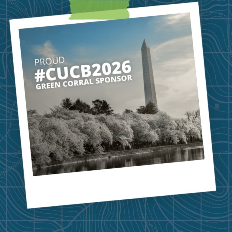 cherry blossom run pic