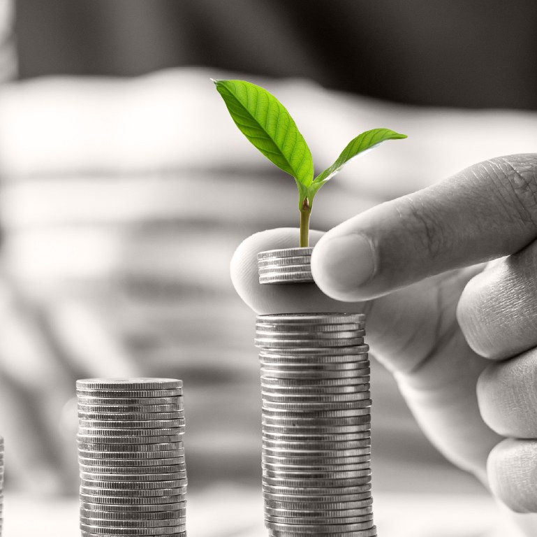 hand stacking increasing row of coins with a plant growing the top