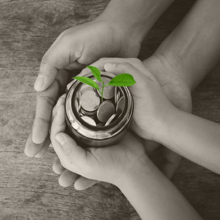 adult hands over child hands holding a jar with plant growing