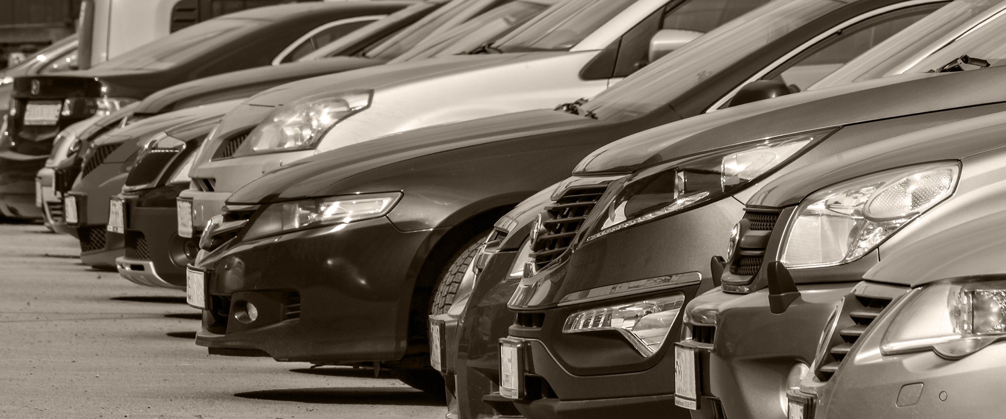 cars lined up in a dealership lot