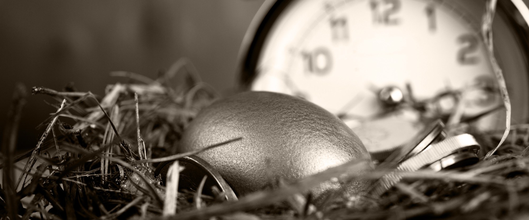 golden egg in a nest and a clock in background