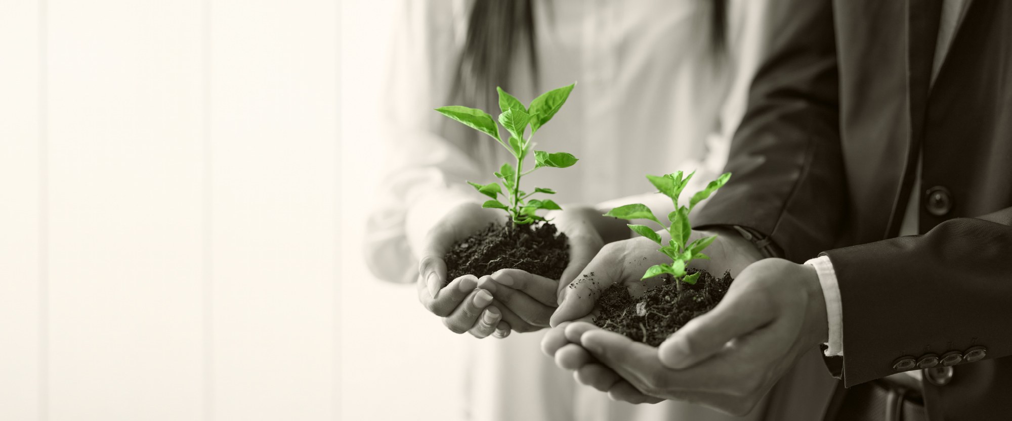 hands holding dirt and green plants growing out of them