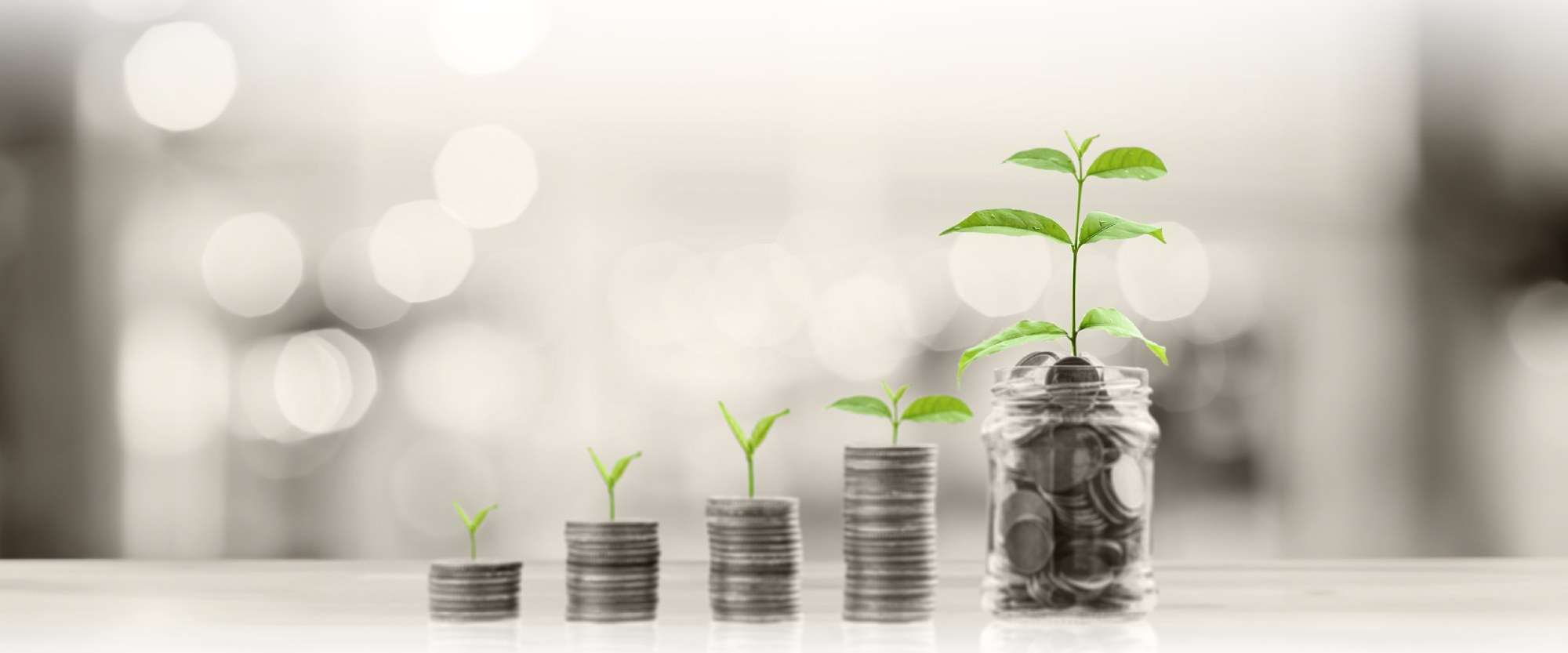 green shoot of plants steadily rising on stacks of coins