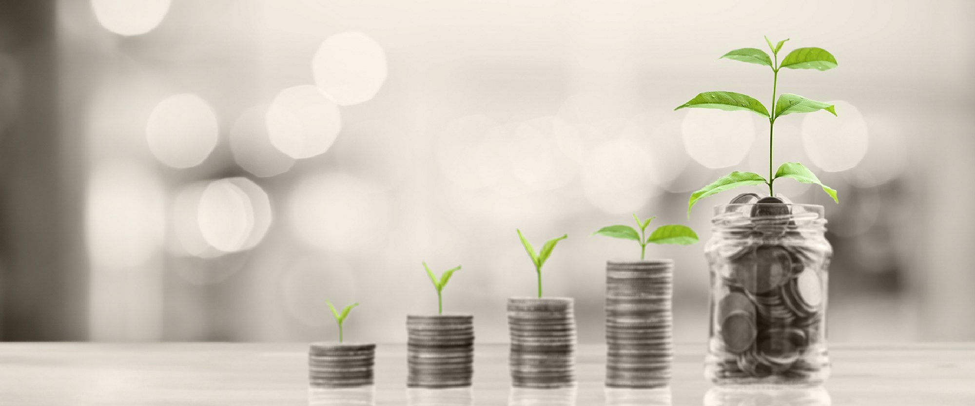 glass jars of coins with green plant shoots growing out of them in increasing order