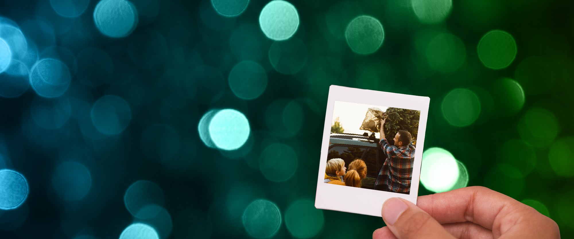 holiday light with a hand holding a polaroid of person putting an evergreen tree on top of their car