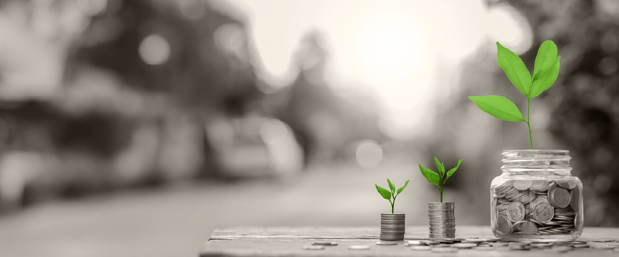 coins in a jar with green plant growing out of it