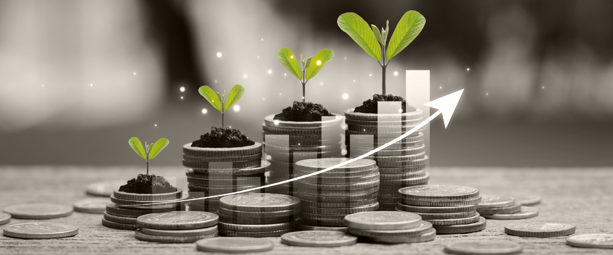 coins and dollars with green shoots of leaves growing