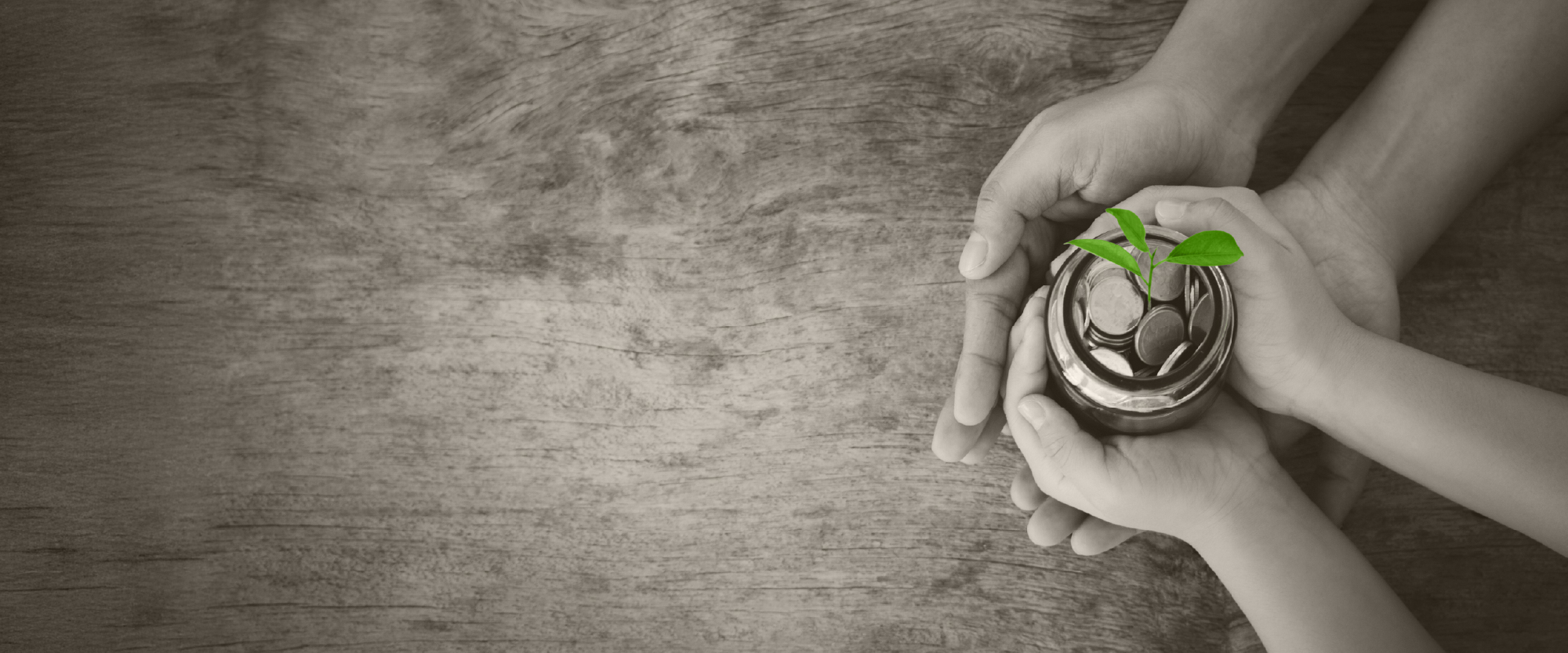 adult hands over child hands holding a jar with plant growing