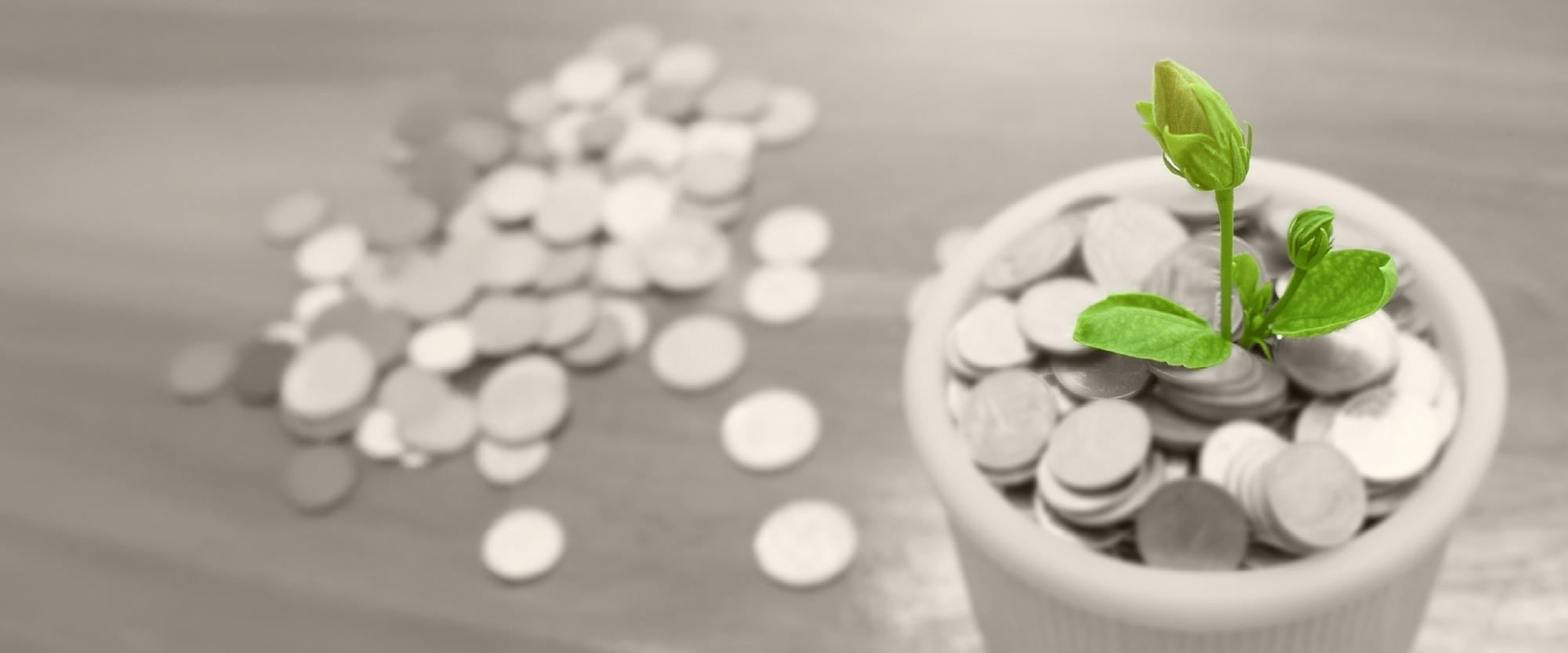 green plants growing out of coins in a pot